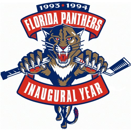 Florida Panthers T-shirts Iron On Transfers N167 - Click Image to Close